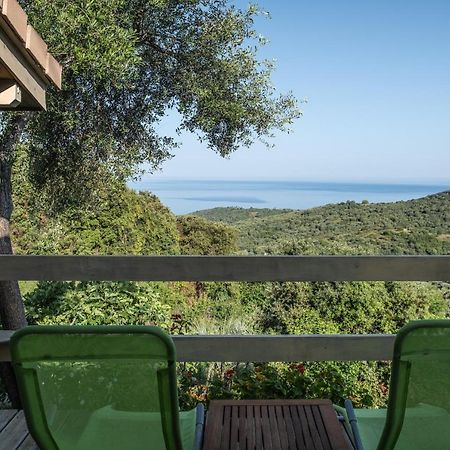 Les Terrasses De Scaglioli Villa Villanova ภายนอก รูปภาพ