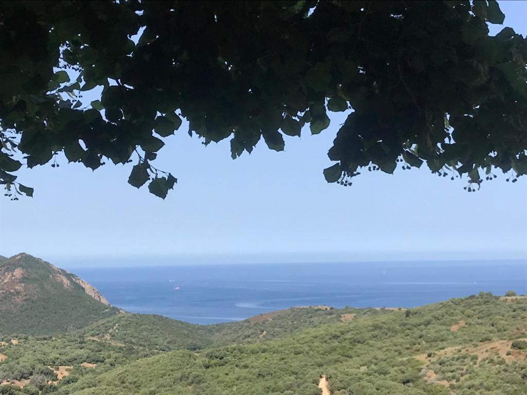 Les Terrasses De Scaglioli Villa Villanova ภายนอก รูปภาพ