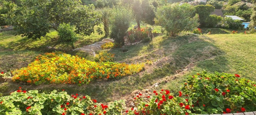 Les Terrasses De Scaglioli Villa Villanova ภายนอก รูปภาพ