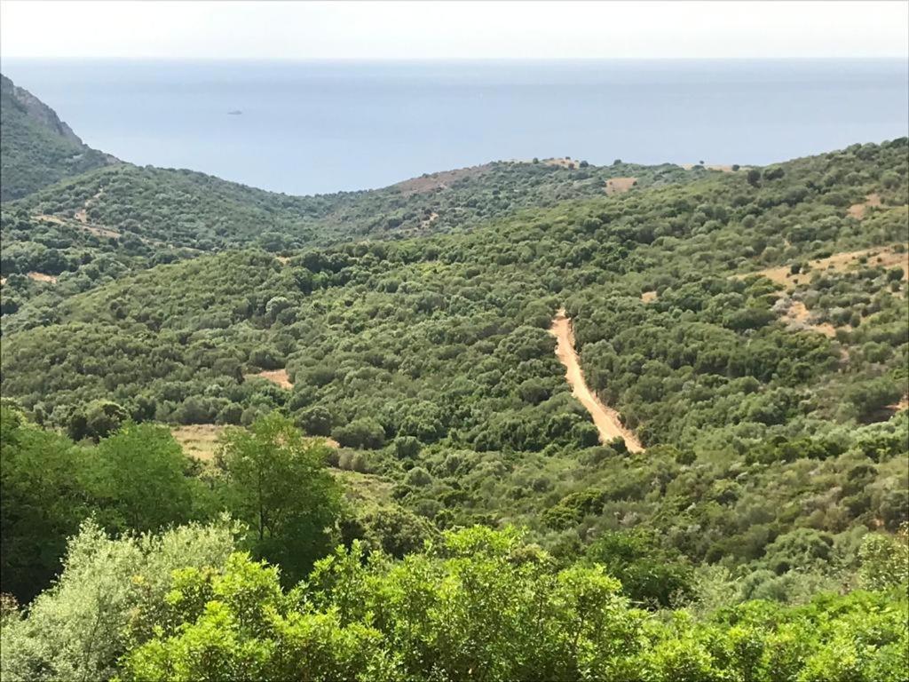 Les Terrasses De Scaglioli Villa Villanova ภายนอก รูปภาพ