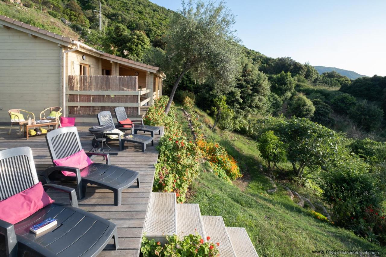 Les Terrasses De Scaglioli Villa Villanova ภายนอก รูปภาพ